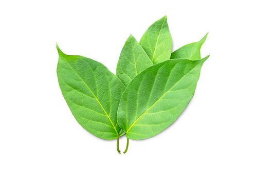 Blutforde contains Gymnema sylvestre extract
